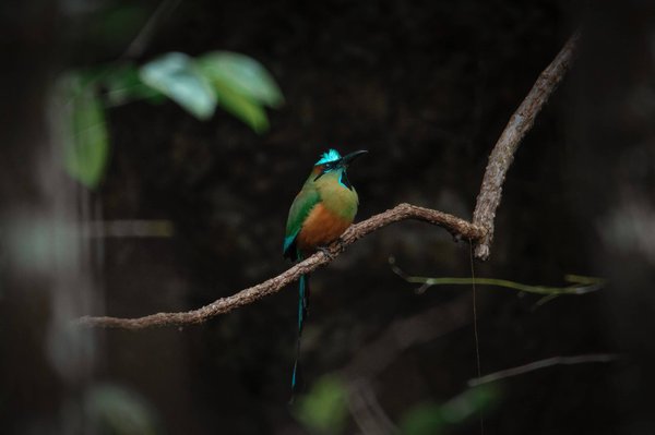 Peut-on consommer des produits laitiers en faisant un régime ?