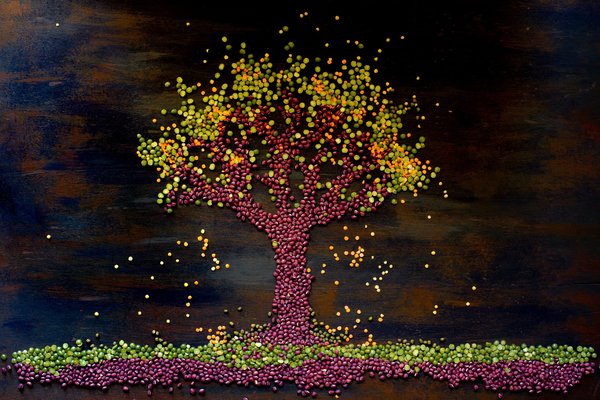 Le lait végétal maison : recettes et astuces