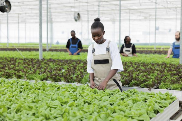 Quelles sont les meilleures méthodes de conservation des aliments ?